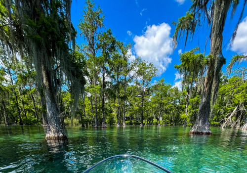 Experience the Best of Northwest Florida at These Upcoming Events
